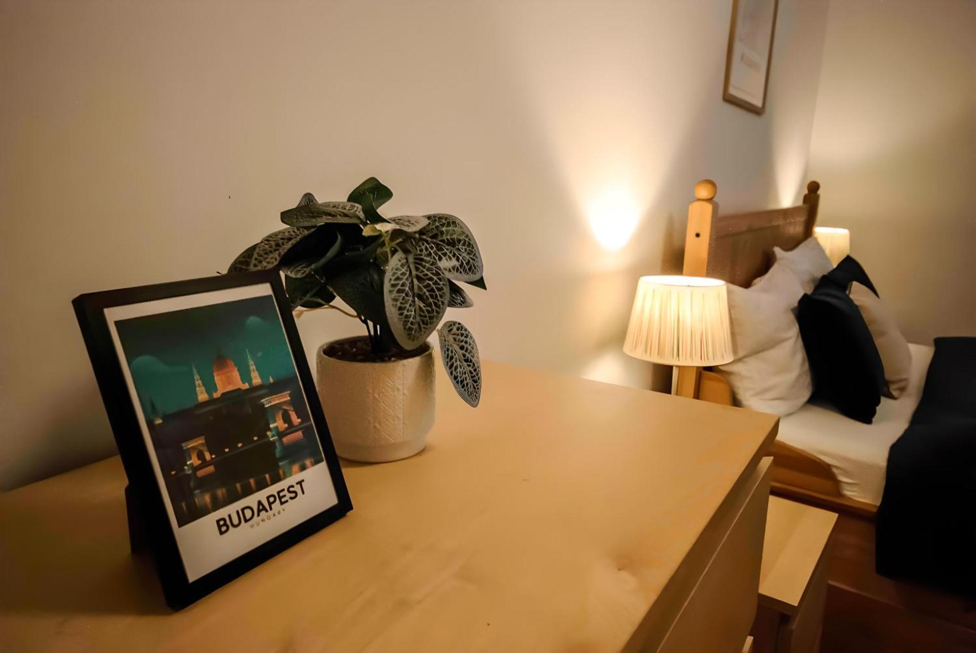R171 Elitehost Raday Apartment 布达佩斯 外观 照片